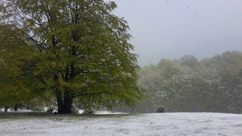 Video nevicata 25 Aprile 2016 – dal Laceno al piano l’acernese