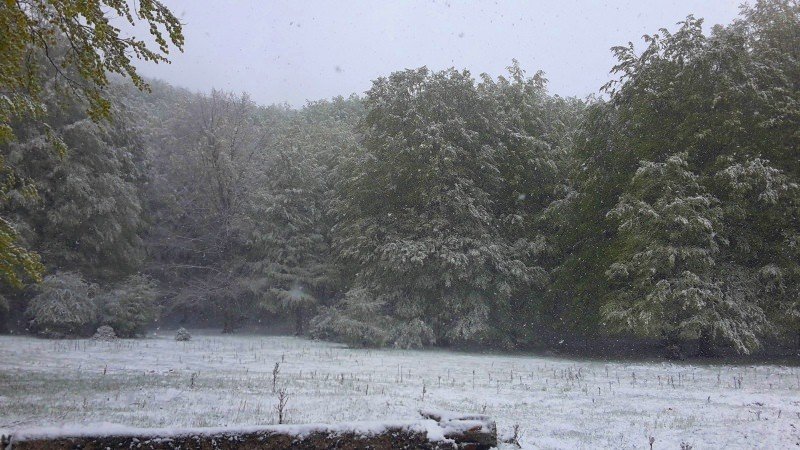 Servizio fotografico: la nevicata al Laceno del 25 Aprile 2016