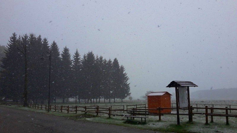 Previsione per il 6 Febbraio