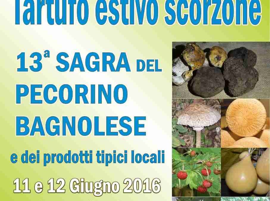 Mostra mercato del tartufo scorzone e XIII sagra del Pecorino Bagnolese