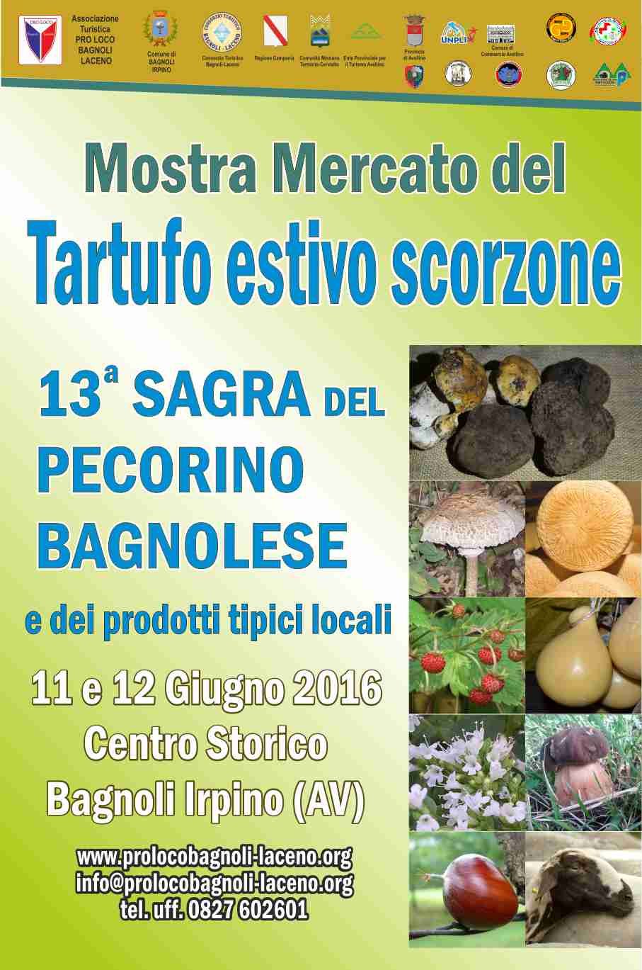 locandina-mostra-tartufo-estivo-scorzone-bagnoli-irpino