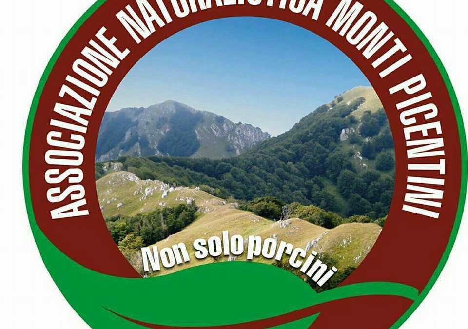 1° raduno dell’Ass. Monti Picentini non solo porcini. Grande successo di pubblico