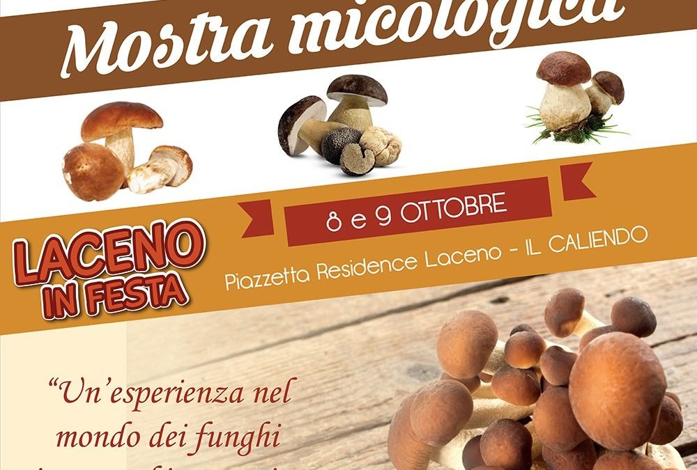 1° Mostra micologica Laceno in festa – 8 e 9 Ottobre in piazzetta Residence