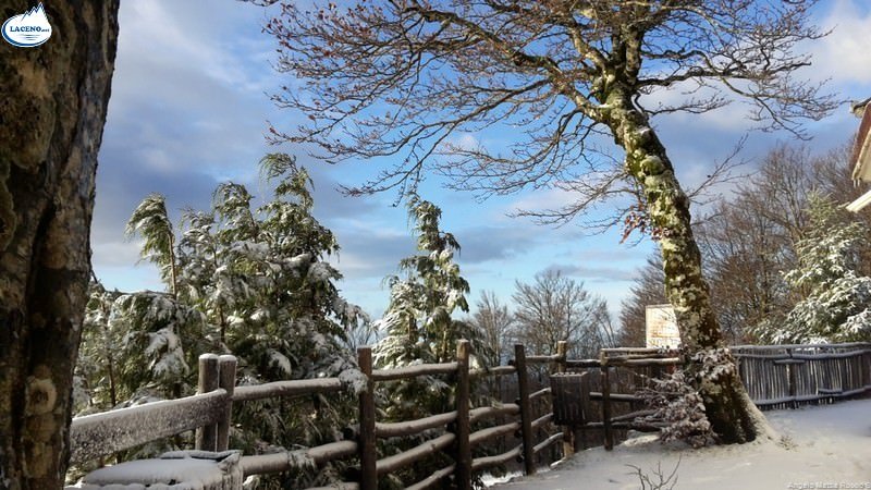 Servizio fotografico: 12 Novembre 2016 – prima neve sulle vette del Laceno
