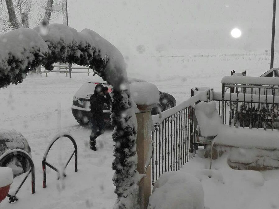 Servizio fotografico: qualche scatto dal Laceno – nevicata del 05/01/2017