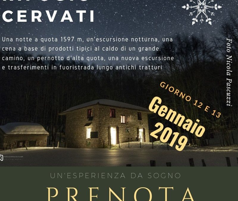 Un’avventura ad alta quota 12 e 13 Gennaio 2019